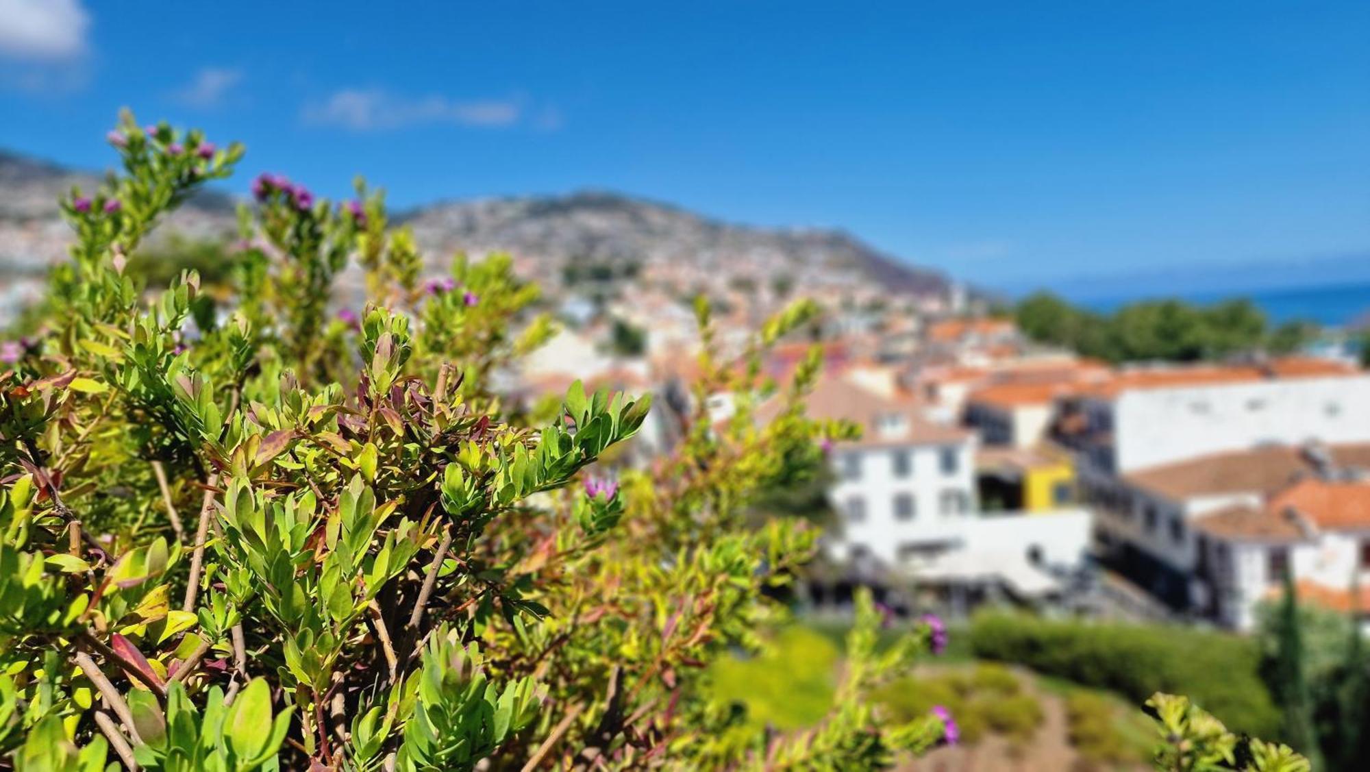 Daysy Loft By Lovelystay Funchal  Eksteriør bilde